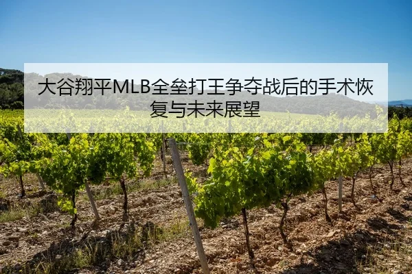 大谷翔平MLB全垒打王争夺战后的手术恢复与未来展望