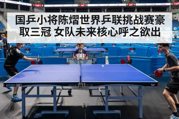table tennis match action